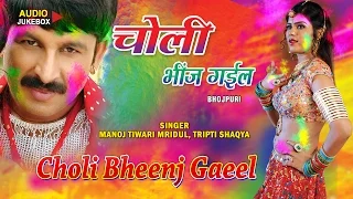 CHOLI BHEENJ GAEEL - Holi Special 2016 [ Audio Songs Jukebox ] - Manoj Tiwari, Tripti Shaqya