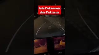 Tesla Parktest OHNE PARKSENSOR bei Nacht! #elektroauto #modely #tesla #shorts