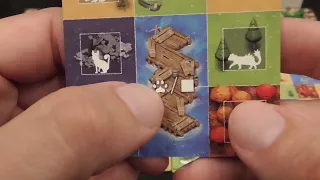 Race to the Raft Review