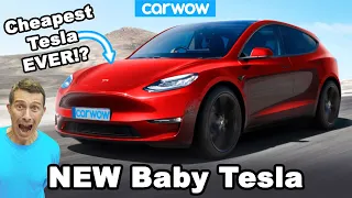 New baby Tesla - it will cost LESS than a VW Golf!