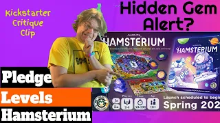 Hamsterium Pledge Level Analysis - Kickstarter Critique Clip