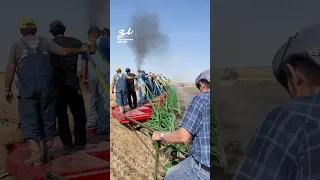 The World's Largest Steam Tractor! 😱 #tractor #steam #farming