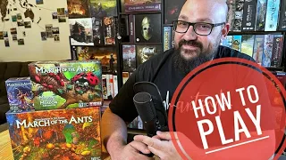 March of the Ants- How to play with or w/o expansions: minions and empires (setup, rules)