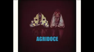 Agridoce - 130 Anos