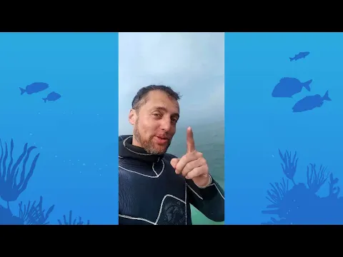 Vignette de la vidéo