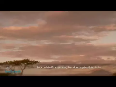 youtube-video-thumbnail