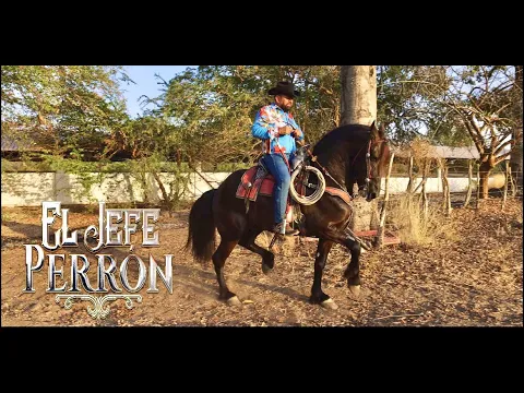 Video for event landing page