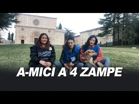 <span style="color:var(--accent)">Video:</span> Guardie zoofile e volontari in difesa degli animali