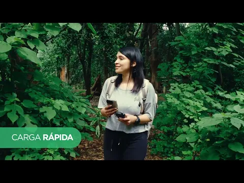 video_BC000066