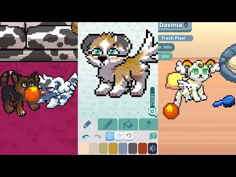 Video dari Pixel Petz