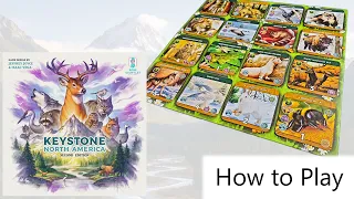Key Stone America - Board Game Rules - how to play