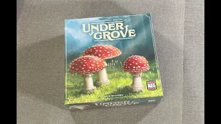 The Discriminating Gamer: Undergrove unboxing with Ray