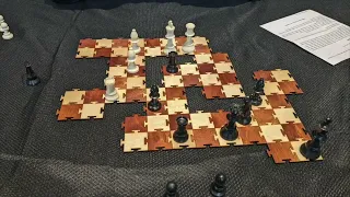 Puzzle Board Chess launching on Indiegogo