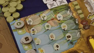Die Ameisen von Amyra (erscheint 2026) (PD Verlag) / Essen 2025
