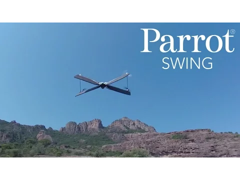 Video zu Parrot Swing