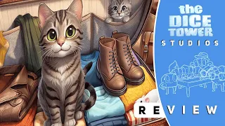 Pack the Essentials Review: Cat in the Bag