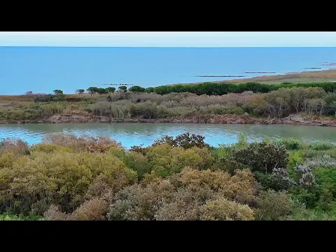 Youtube Preview