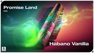 Promise Land - Habano Vanilla (Official Audio)