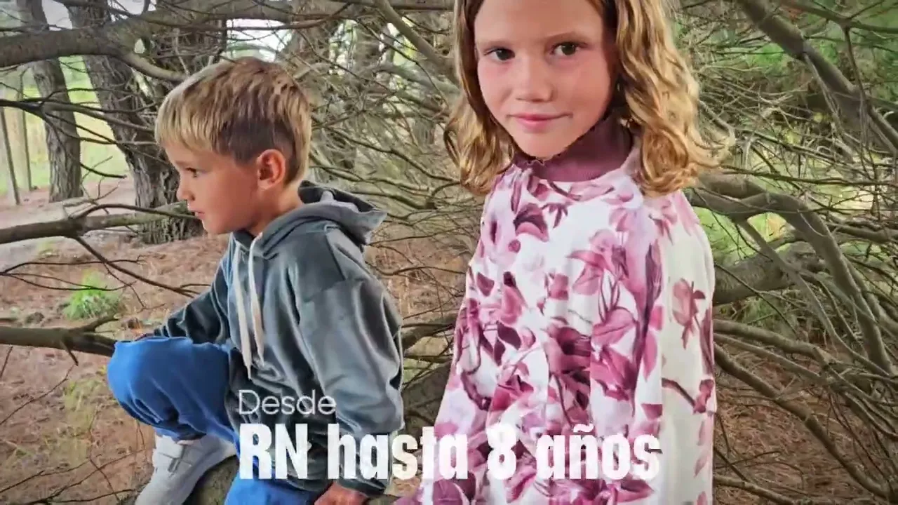 Video de Mini Ánima