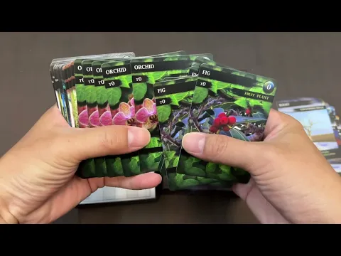 【Board Game Rookie】【Unboxing】Noah Planet English version