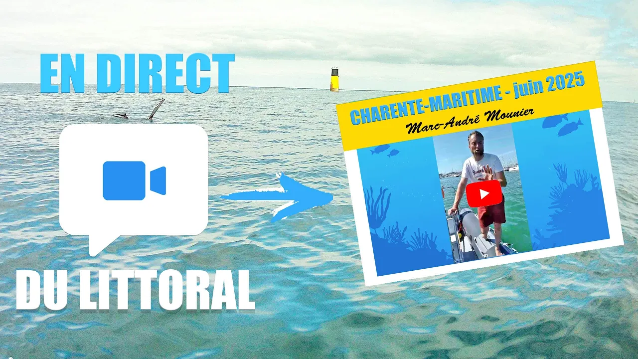 Vignette de la vidéo
