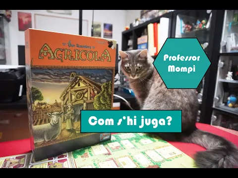 Agrícola - Joc de taula - Com s'hi juga?
