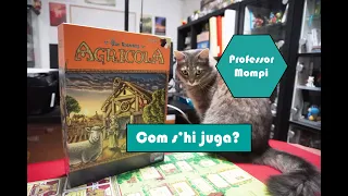 Agrícola - Joc de taula - Com s'hi juga?
