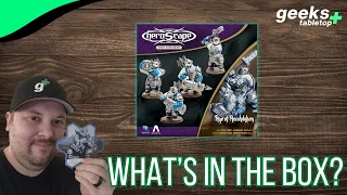 Whats in the Box - Heroscape: Rising Tide Knight Primus Adelbern and Ordo Borealis