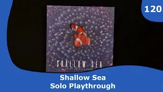 Shallow Sea - Solo Playthrough | 120 | CulBlu and Cardboard