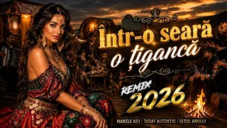 Într-o seară o țigancă 🔥 Remix 2026