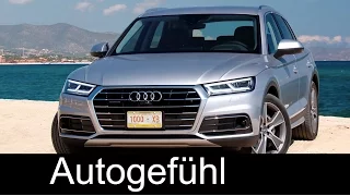 Audi Q5 colours & trims Preview Florett Silver TDI & Navarra Blue S-Line TFSI Exterior/Interior