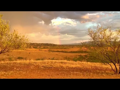 youtube-video-thumbnail