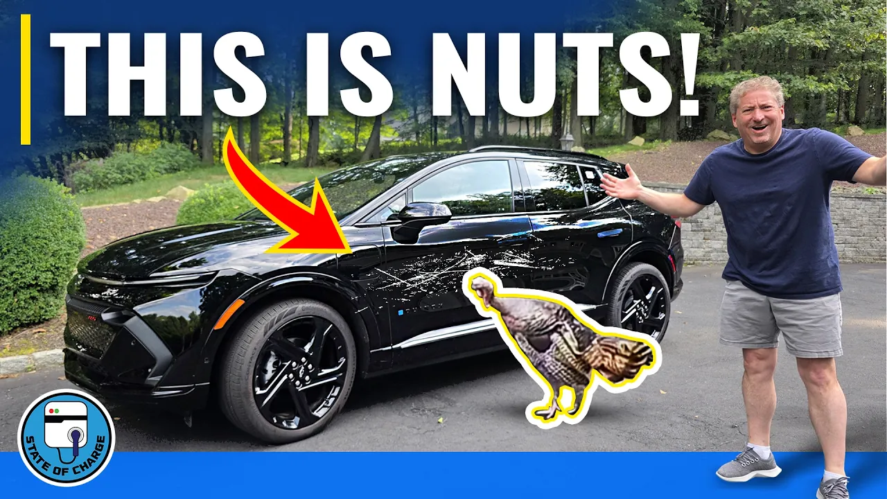 My Equinox EV Was Brutally Attacked By A Wild Turkey!