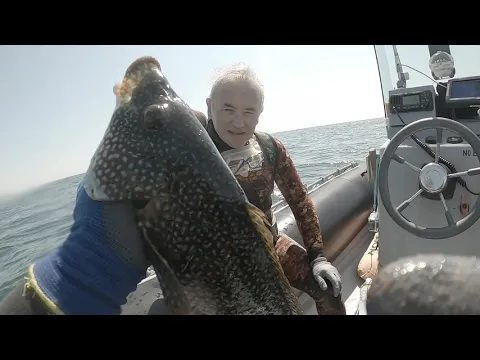 Vignette de la vidéo