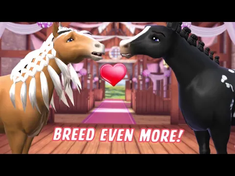 Video z Horse Haven