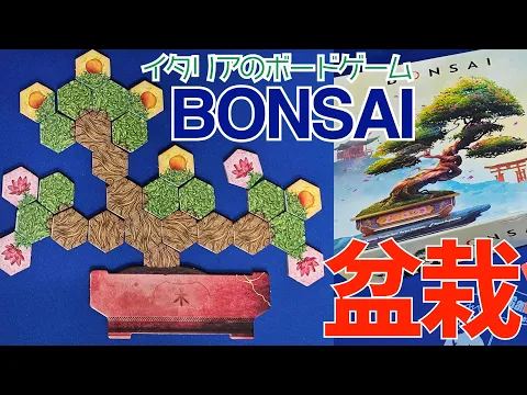 Bonsai playing