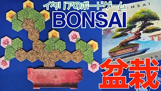 Bonsai playing