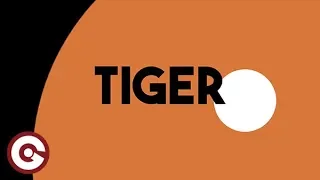 SPADA VS PREZIOSO - Tiger (Official Lyric Video)