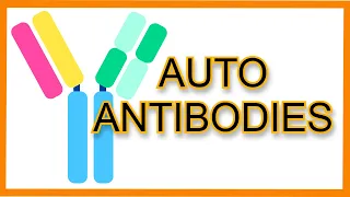 Autoantibodies Rapid Review