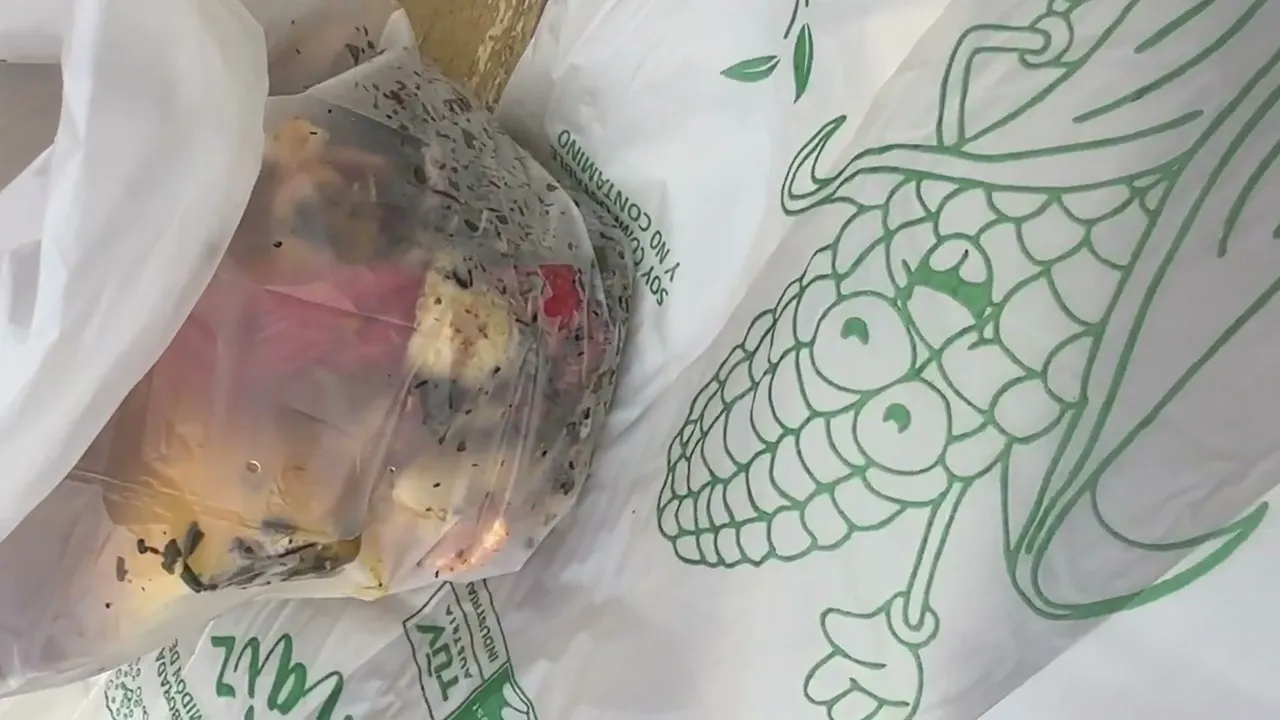 Video de Conciencia Circular