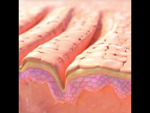 youtube-video-thumbnail