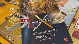 Bayonets & Tomahawks: Solo Play?