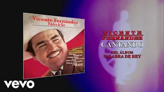 Vicente Fernández - Cantando (Cover Audio)
