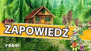 Wiosenna planszowa zapowiedź / część pierwsza