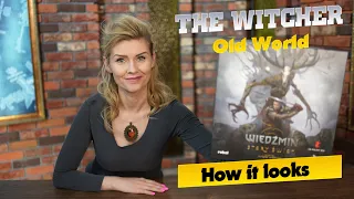 The Witcher: Old World │How it looks