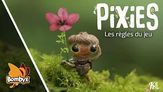 Pixies (bombyx édition) - Les règles du jeu - Festival Rennes en Jeux