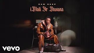 Sam Deep, Eemoh, MaWhoo - iNdaba Yo Thando (Visualizer) ft. Sipho Magudulela
