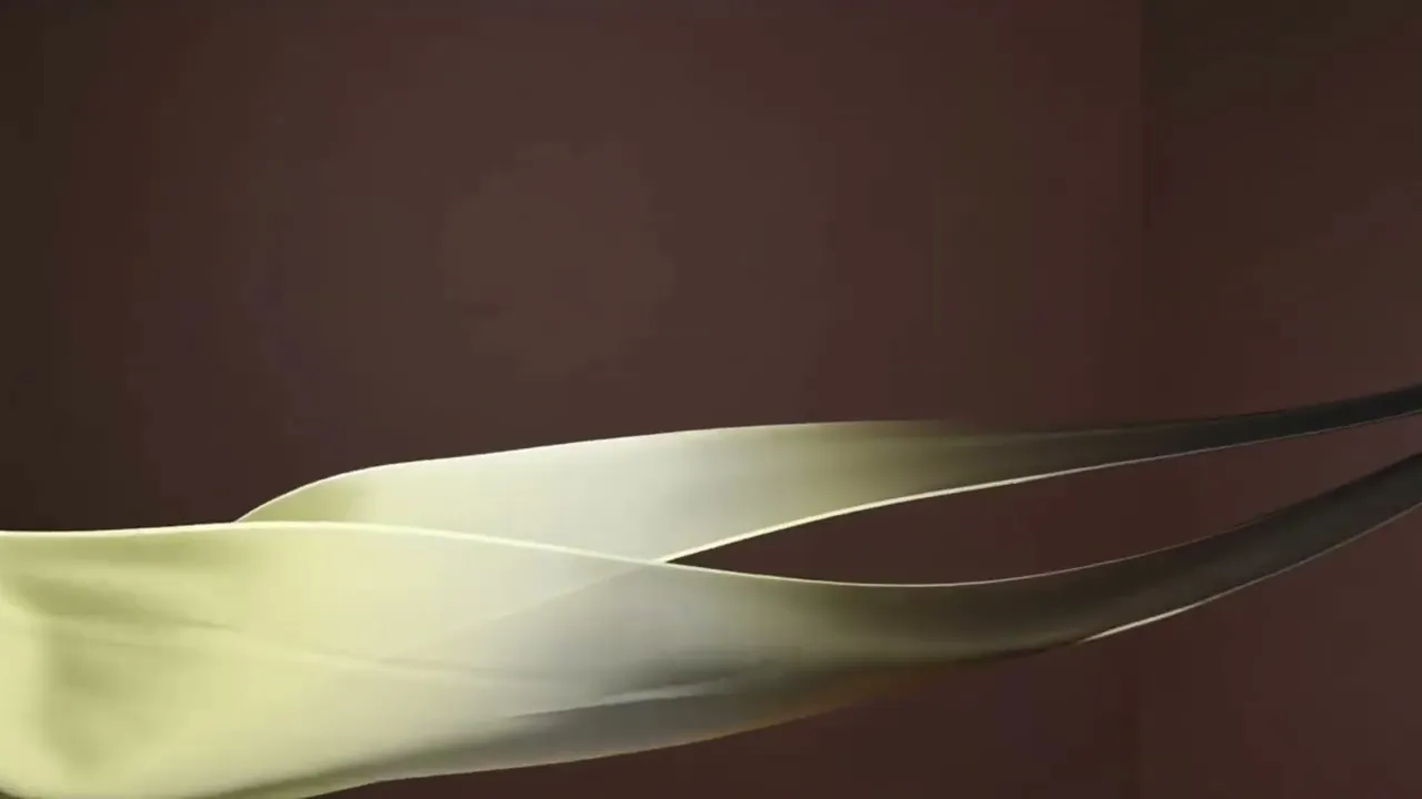 Video de ESTUDIO54 