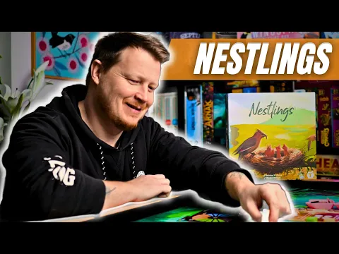 Neslings Solo Playthrough and Review