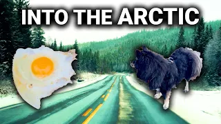 Arctic Scenery - Lofoten Electric Adventure Part 2